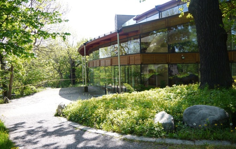 Greenery outside Aula Magna.