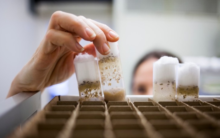 Hands holding test tubes in a laboratory. Photo: Niklas Björling