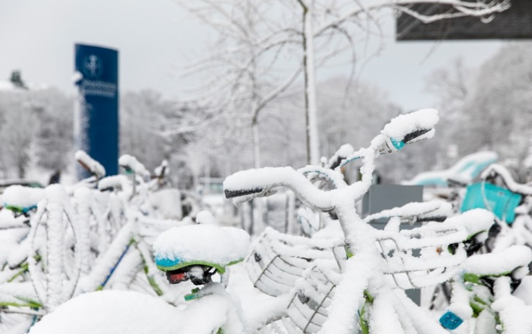 Snow-covered bikes outside Studenthuset Photo: Niklas Björling