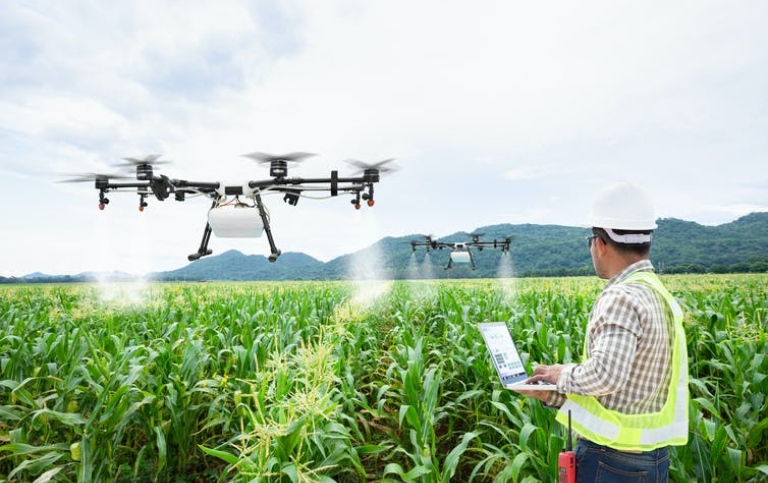 Robotic farming 