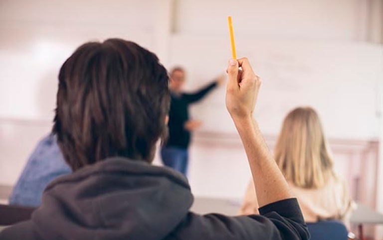 Student raising his hand in class. Photo: Niklas Björling